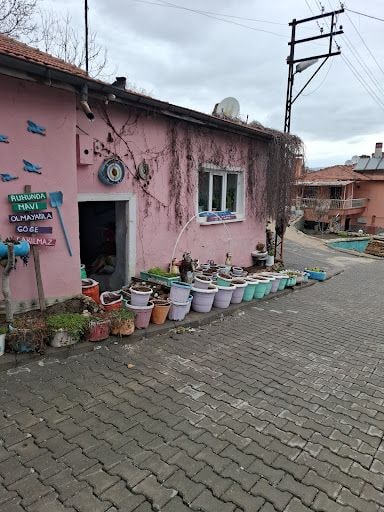 Yorum fotoğrafı 7