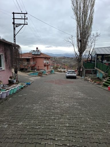 Yorum fotoğrafı 8
