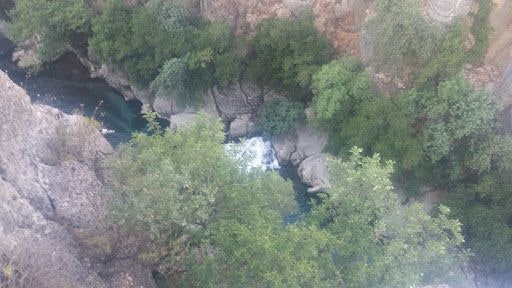 Fotoğraf 28