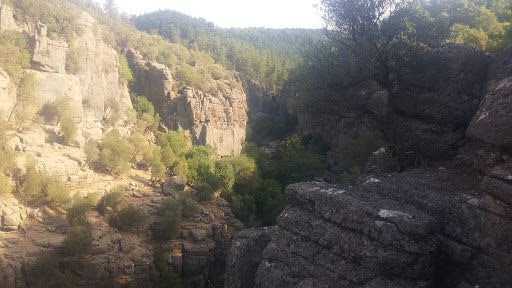 Fotoğraf 29