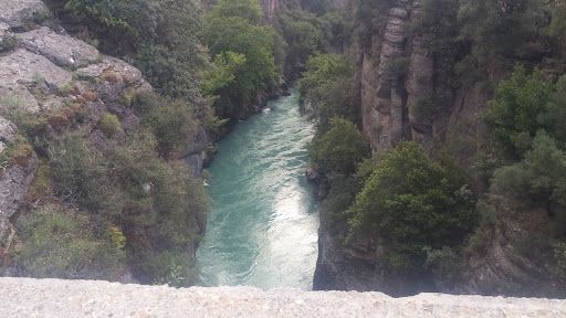 Fotoğraf 31
