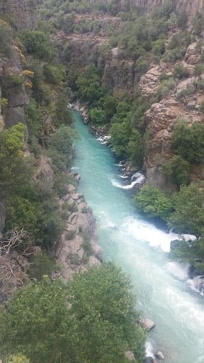 Fotoğraf 32