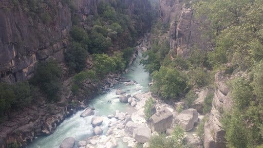 Fotoğraf 33