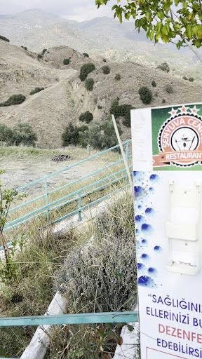 Fotoğraf 16