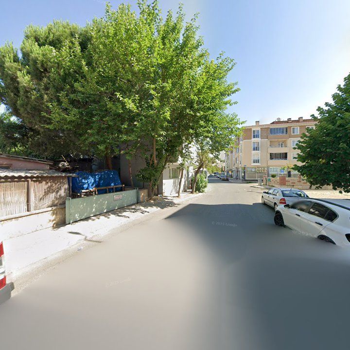 Fotoğraf 11