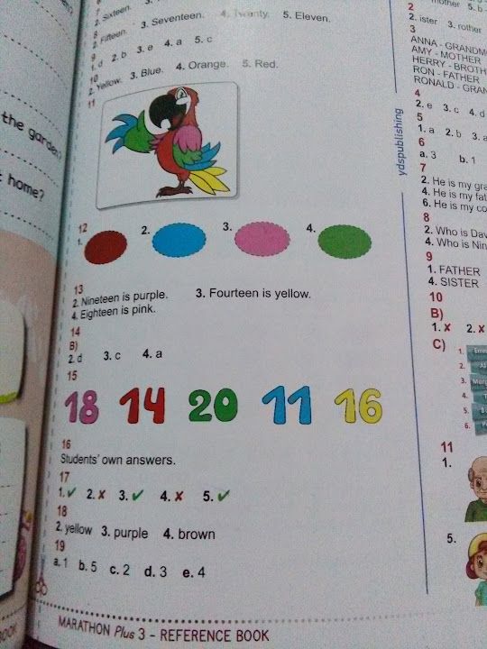 Özen Serpil Pastanesi