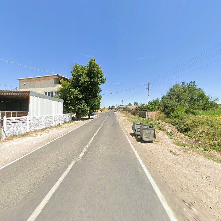 Fotoğraf 8