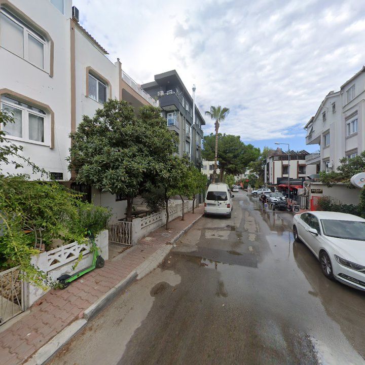 Fotoğraf 16