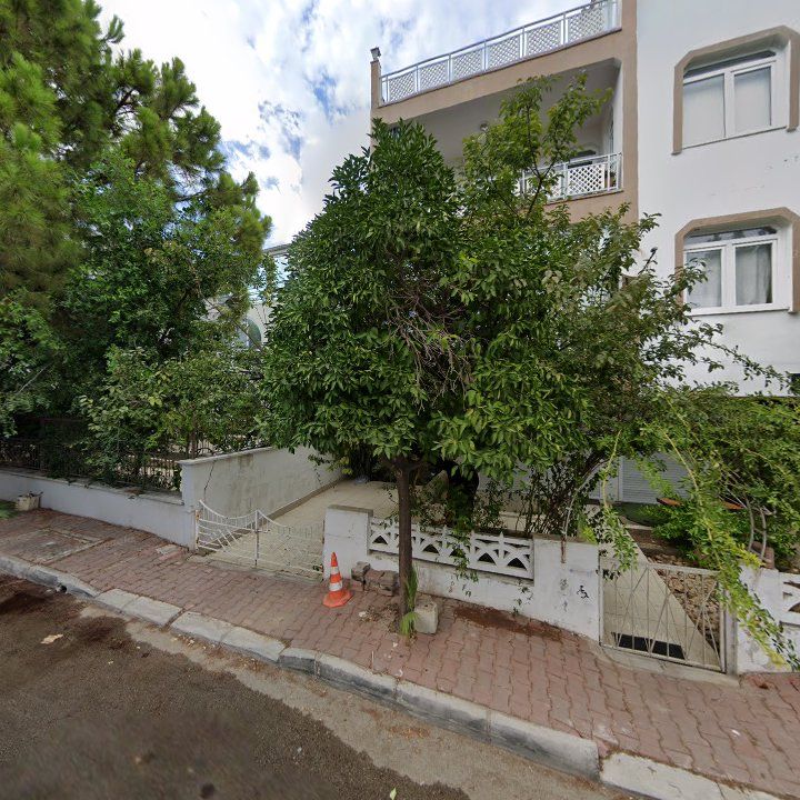 Fotoğraf 15