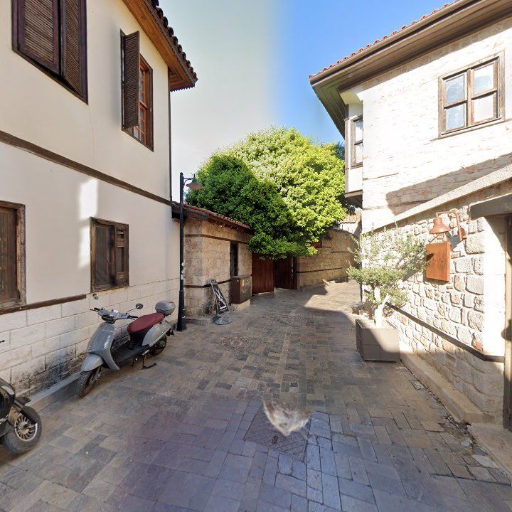 Fotoğraf 11
