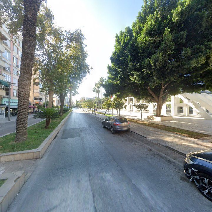 Fotoğraf 14