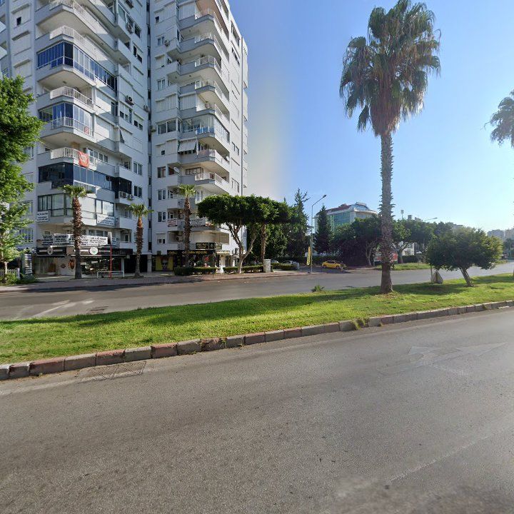 Fotoğraf 11