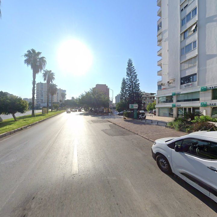Fotoğraf 12
