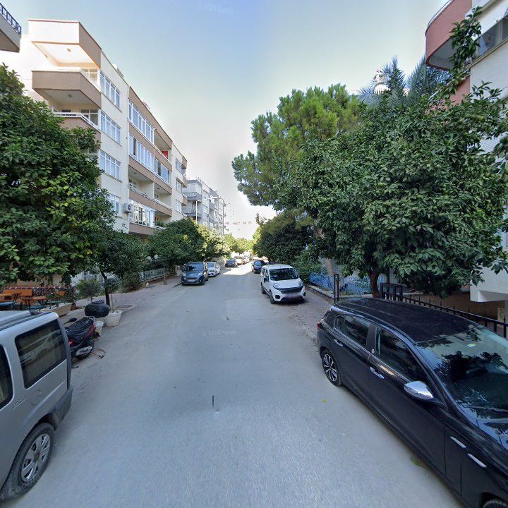 Fotoğraf 9