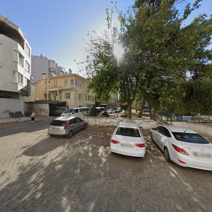 Fotoğraf 7
