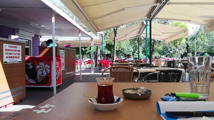 Fotoğraf 16
