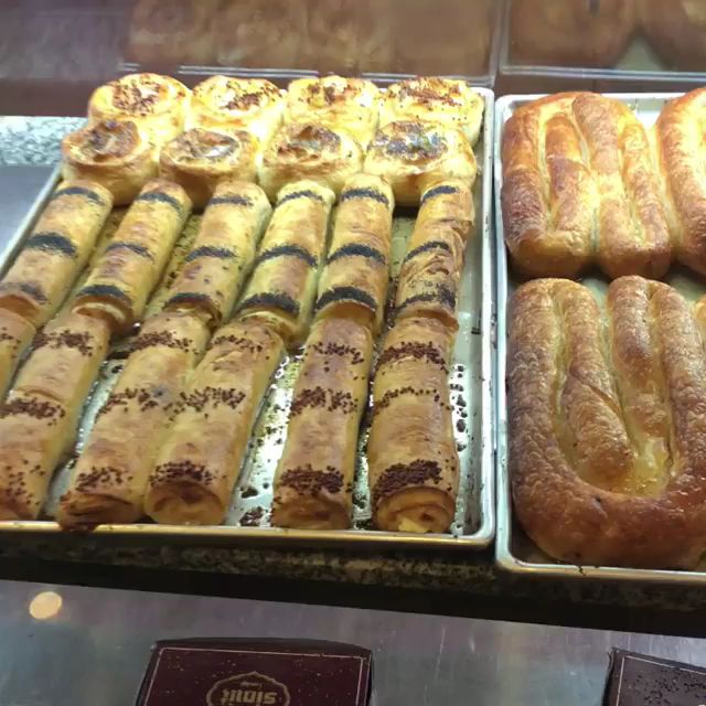 Fotoğraf 17