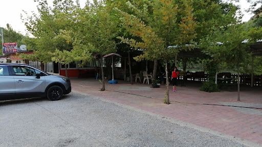 Fotoğraf 15