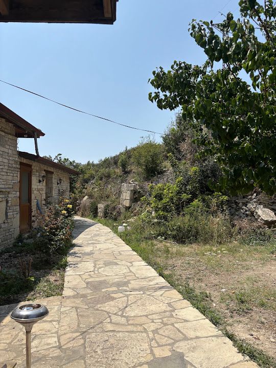 Yorum fotoğrafı 4