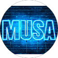 Musa Özerdil
