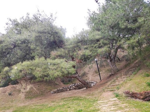 Yorum fotoğrafı 3