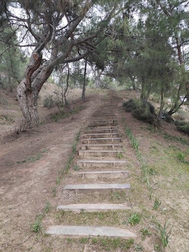Yorum fotoğrafı 4