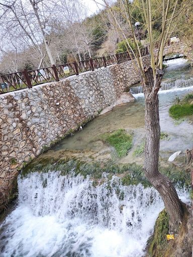 Yorum fotoğrafı 6
