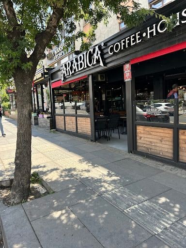 Fotoğraf 14