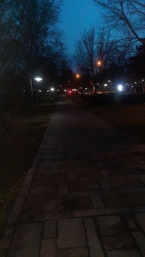 Yorum fotoğrafı 6