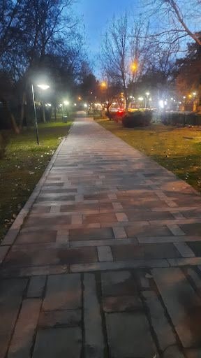 Yorum fotoğrafı 7