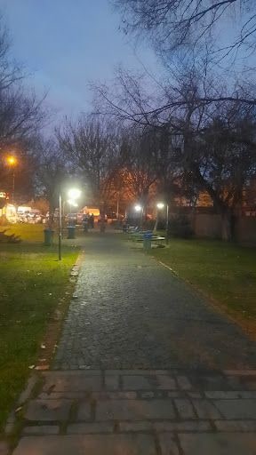Yorum fotoğrafı 9