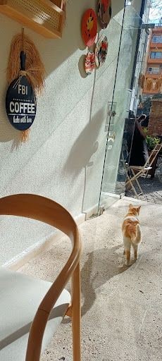 Fotoğraf 21