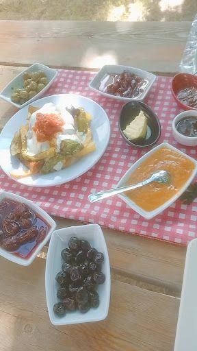 Fotoğraf 12