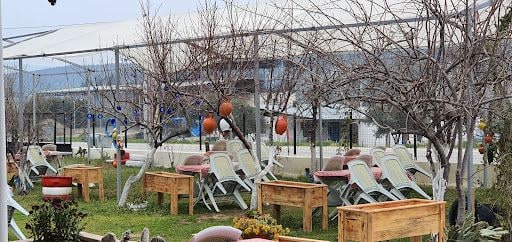 Fotoğraf 20