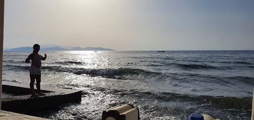 Fotoğraf 24