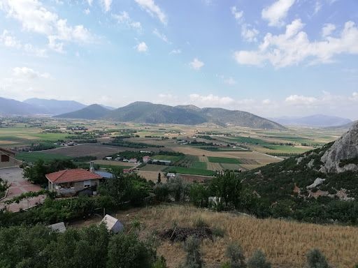 Fotoğraf 14