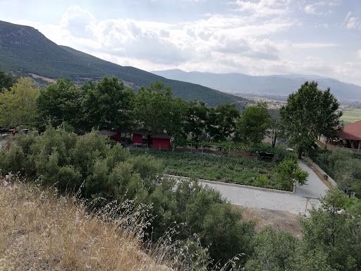 Fotoğraf 15