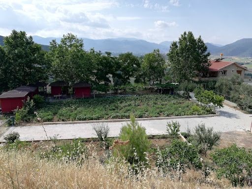 Fotoğraf 16