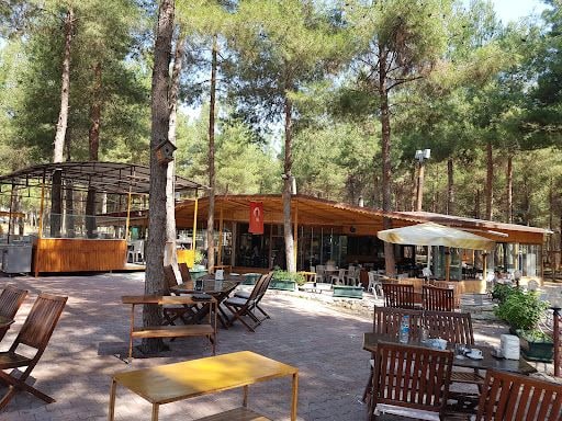 Yorum fotoğrafı 4