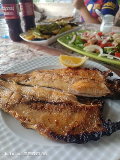 Fotoğraf 12
