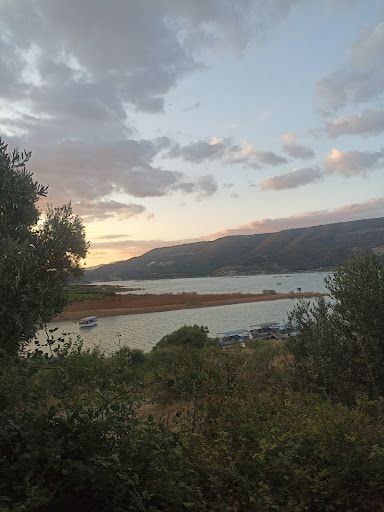 Fotoğraf 15