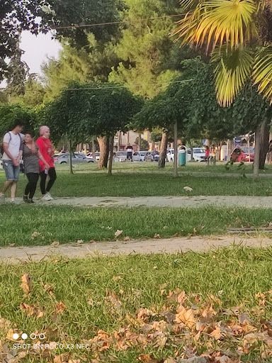 Yorum fotoğrafı 8