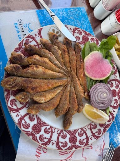 Yorum fotoğrafı 3