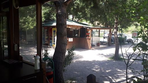 Yorum fotoğrafı 4