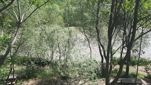 Yorum fotoğrafı 7