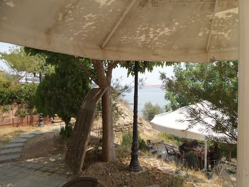 Yorum fotoğrafı 4