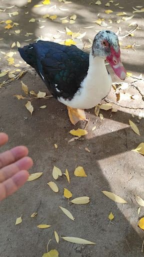Yorum fotoğrafı 10