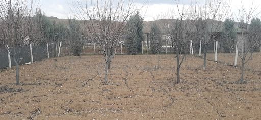Yorum fotoğrafı 5