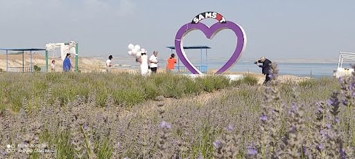 Yorum fotoğrafı 5