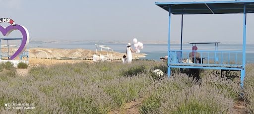 Yorum fotoğrafı 7